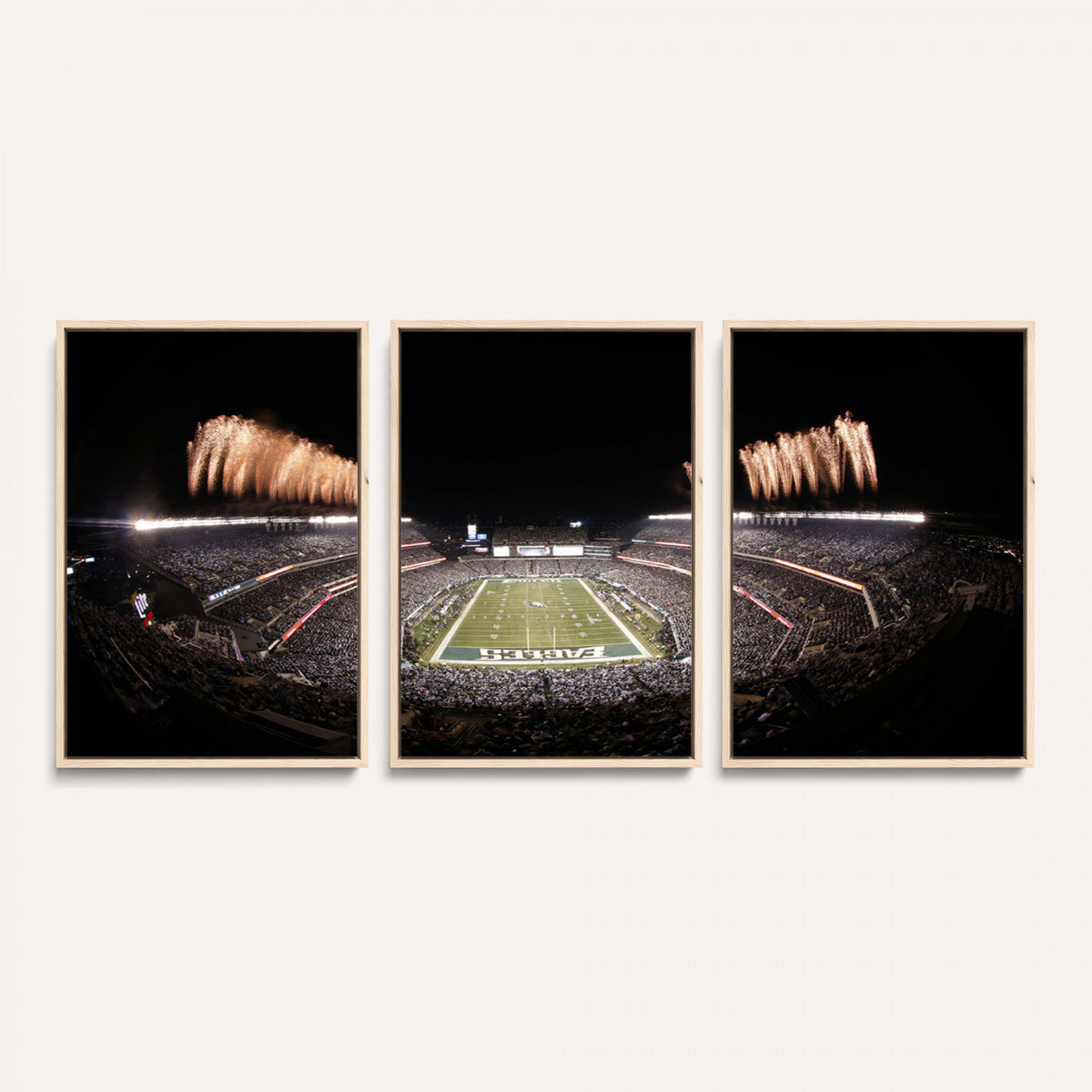 48893-MGV-CV-36X24 - Eagles Field Stadium Wall Art, Lincoln Financial Field