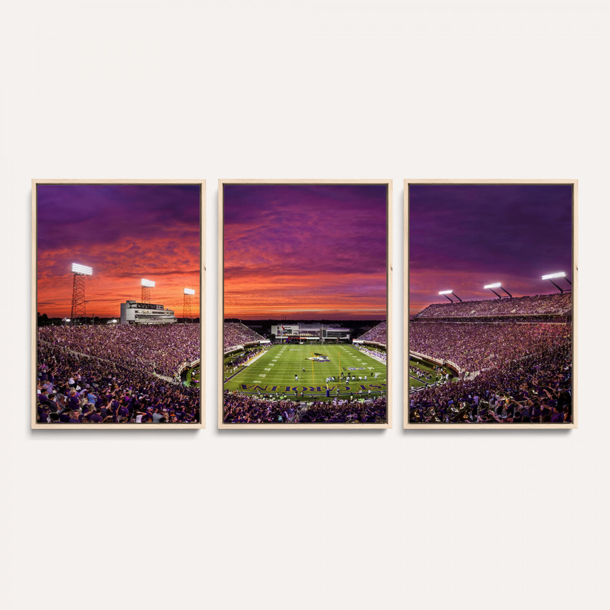 88575-MGV-CV-36X24 - East Carolina University Pirates Football Print Canvas- Greenville Dowdy-Ficklen Stadium Wall Art