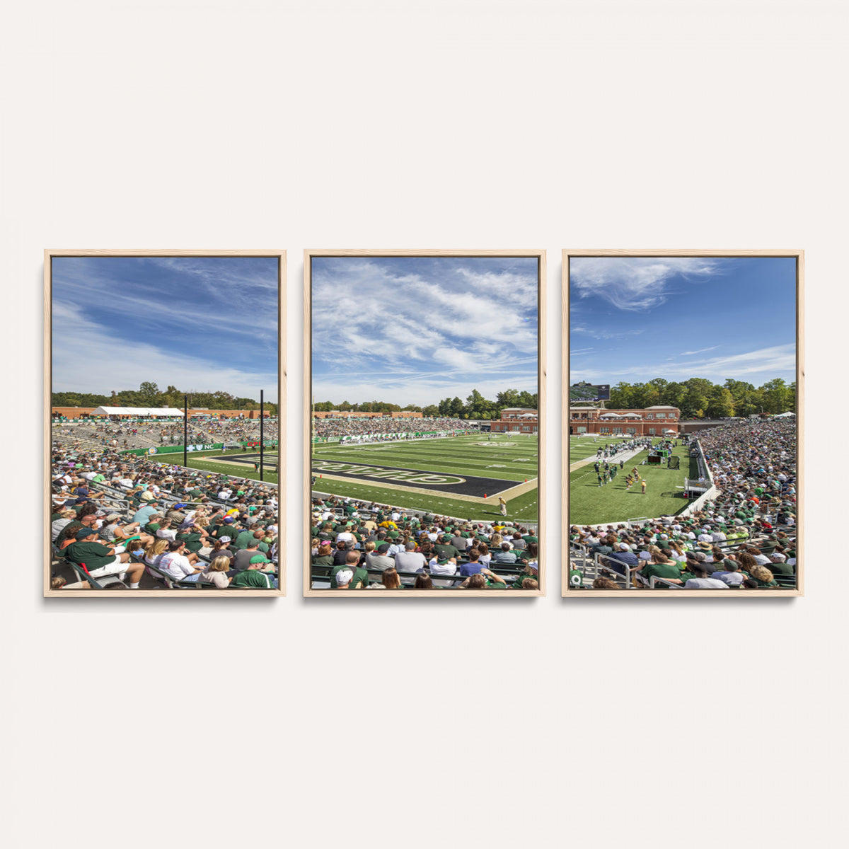 67799-MGV-CV-36X24 - University of Charlotte 49ers Football Team Print - Charlotte Jerry Richardson Stadium Canvas Print