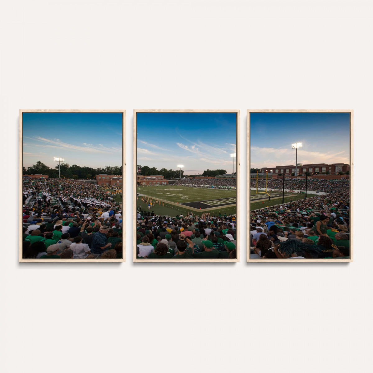 12290-MGV-CV-36X24 - University of Charlotte 49ers Football Team Print - Charlotte Jerry Richardson Stadium Wall Art