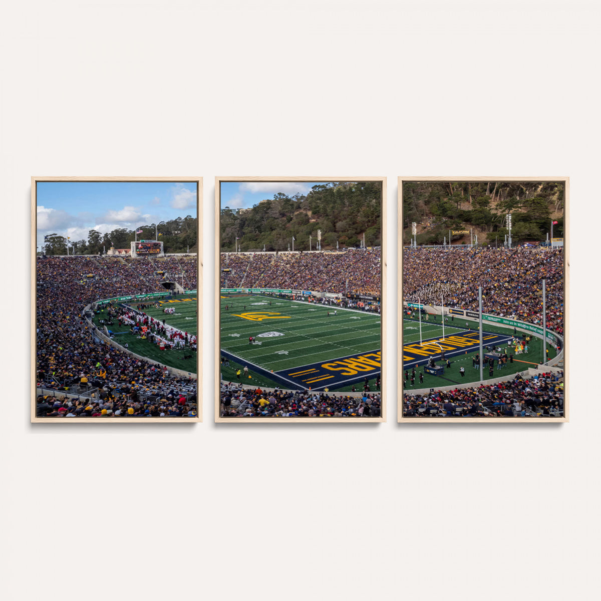 38054-MGV-CV-36X24 - University of California Golden Bears Football Team Print - Berkeley California Memorial Stadium Art