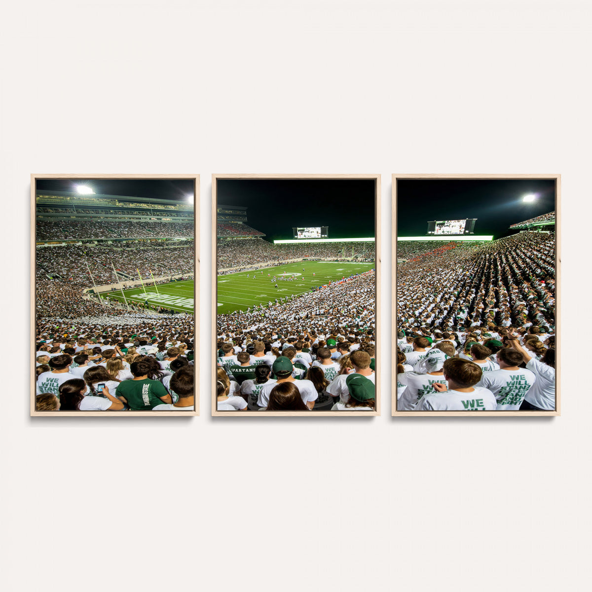 30457-PAN-FL-20X10 - Michigan State Spartans Football Canvas Print - East Lansing Spartan Stadium Wall Art Canvas Print