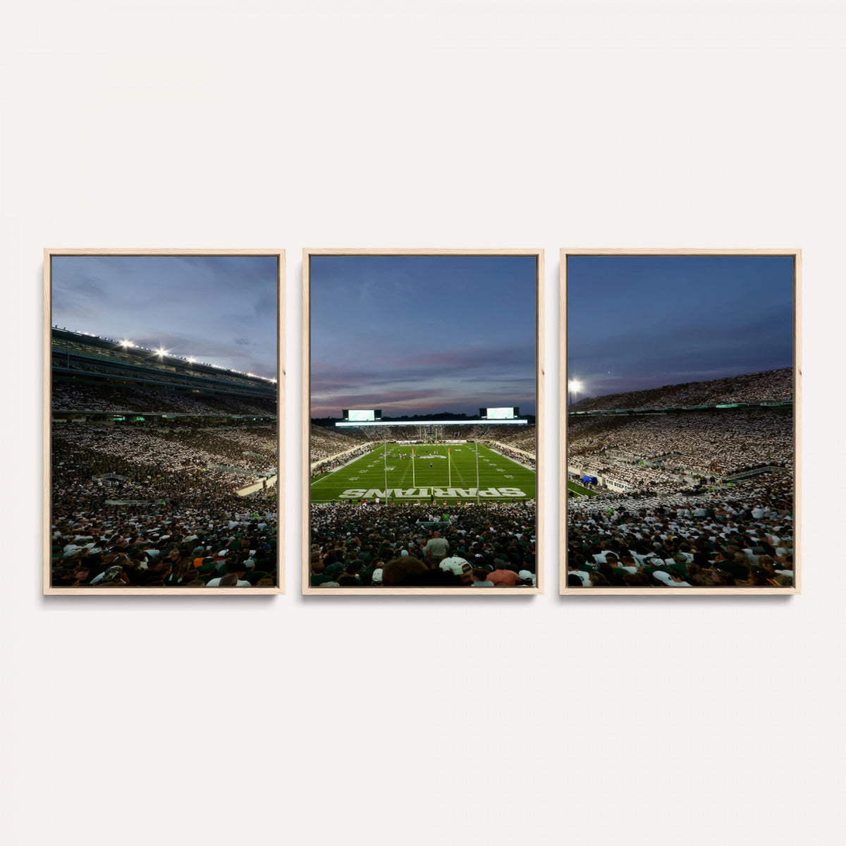 90831-PAN-FL-20X10 - Michigan State Spartans Football Team Print - East Lansing Spartan Stadium Canvas Print