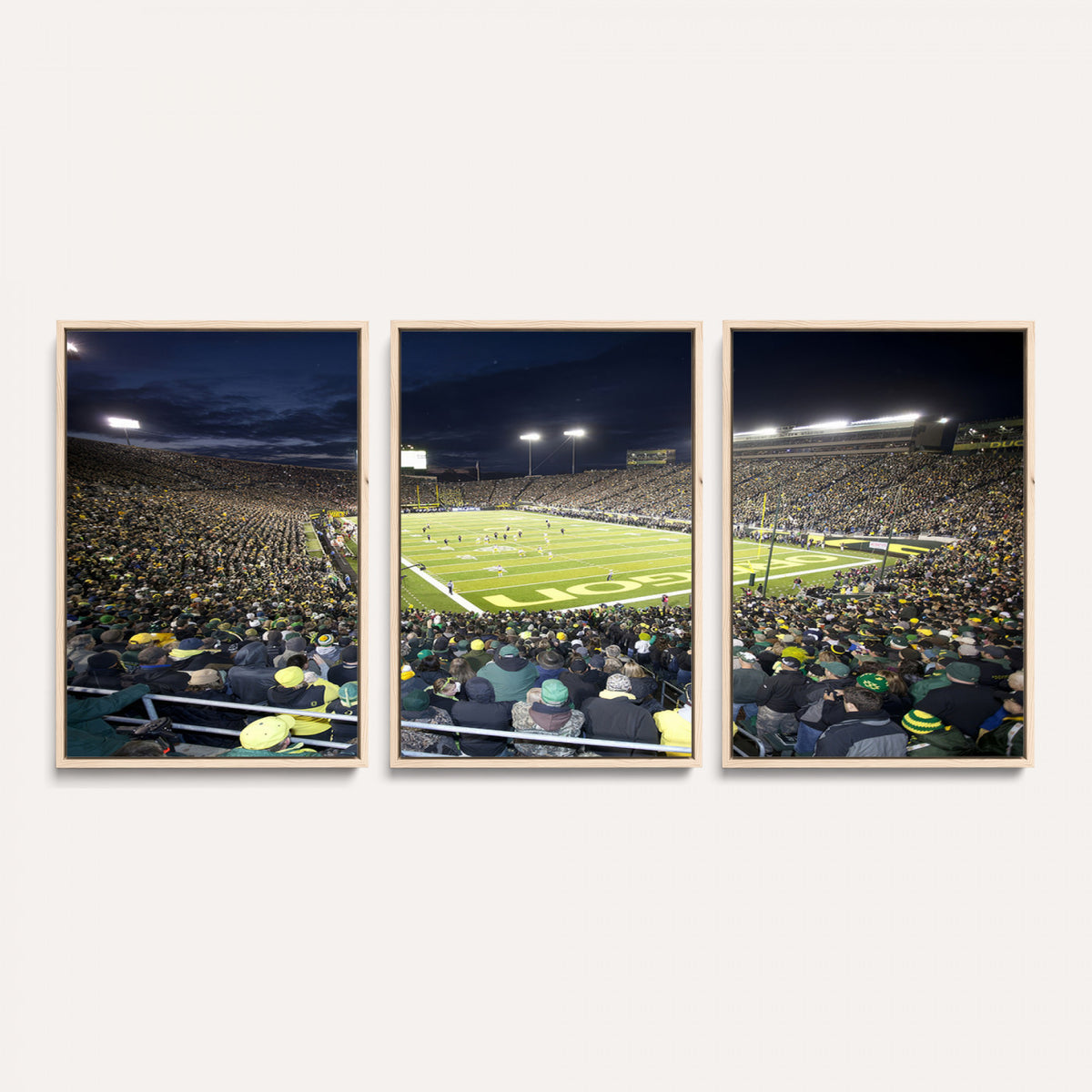 48756-PAN-FL-20X10 - University of Oregon Ducks Football Team Print - Eugene Autzen Stadium Wall Art Canvas Print