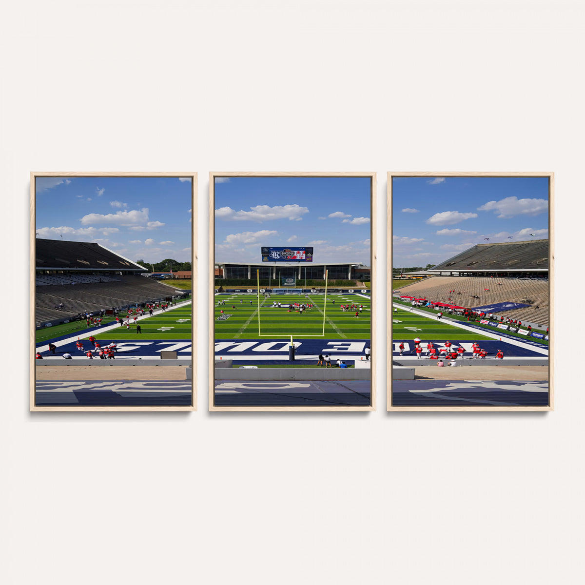 92248-MGV-CV-36X24 - Rice University Owls Football Team Print, Houston Rice Stadium