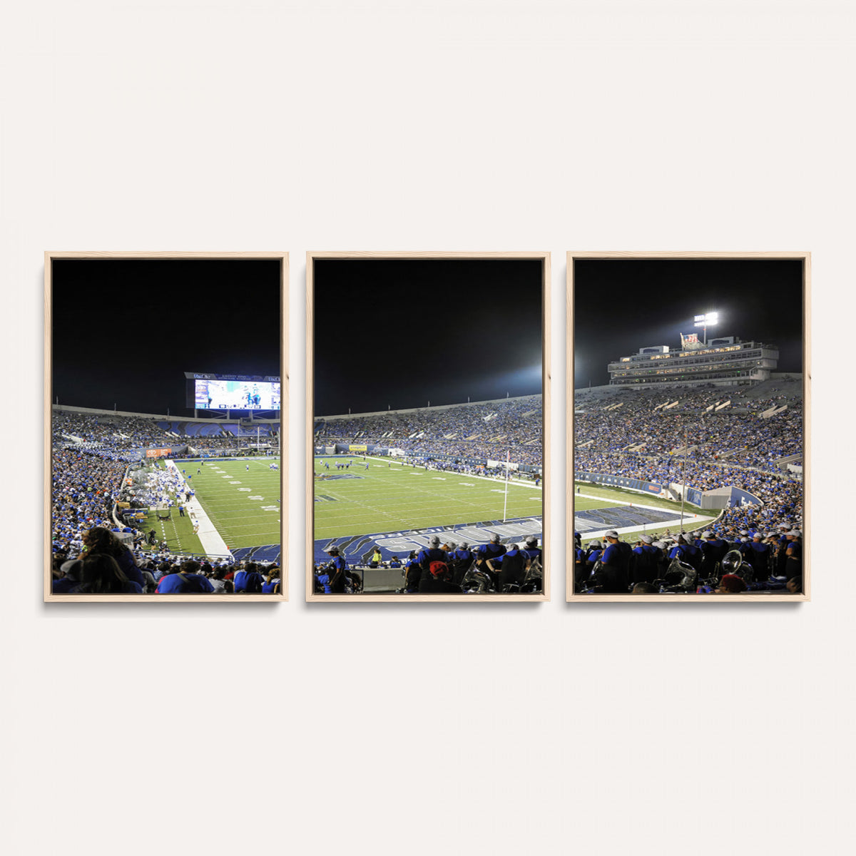 10894-PAN-FL-20X10 - University of Memphis Tigers Football Team Print - Memphis Simmons Bank Liberty Stadium Wall Art