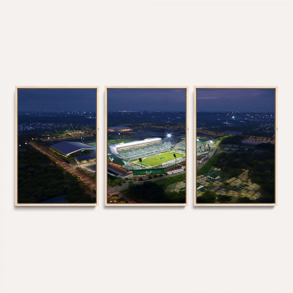 27554-MGV-CV-36X24 - The University of South Florida Bulls Football Team Print