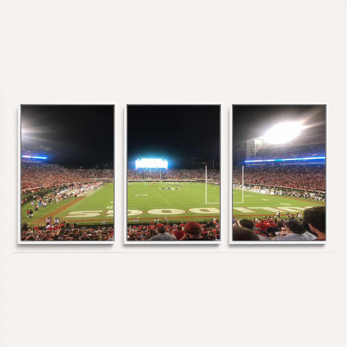 16230786-MGV-CV-36X24 - Dooley Stadium Wall Art, Sports Arena Panoramic Canvas Print, Modern Stadium Landscape Artwork for Home, Office
