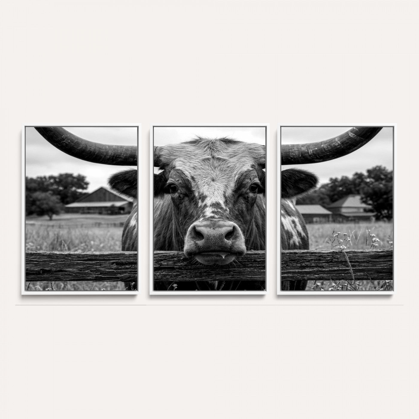 59378683B-MGV-CV-36X24 - Black White Texas Longhorn Bull Canvas Wall Art, Western Ranch Cattle Photography Print, Rustic Farmhouse Cowboy Decor Artwork