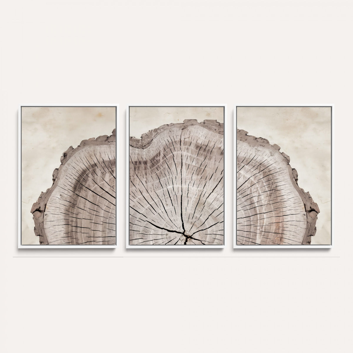 87833480-MGV-CV-60X30-3P - Tree Ring Canvas Wall Art in Neutral Earth Tones, Framed Wood Slice Print for Rustic and Japandi Interiors
