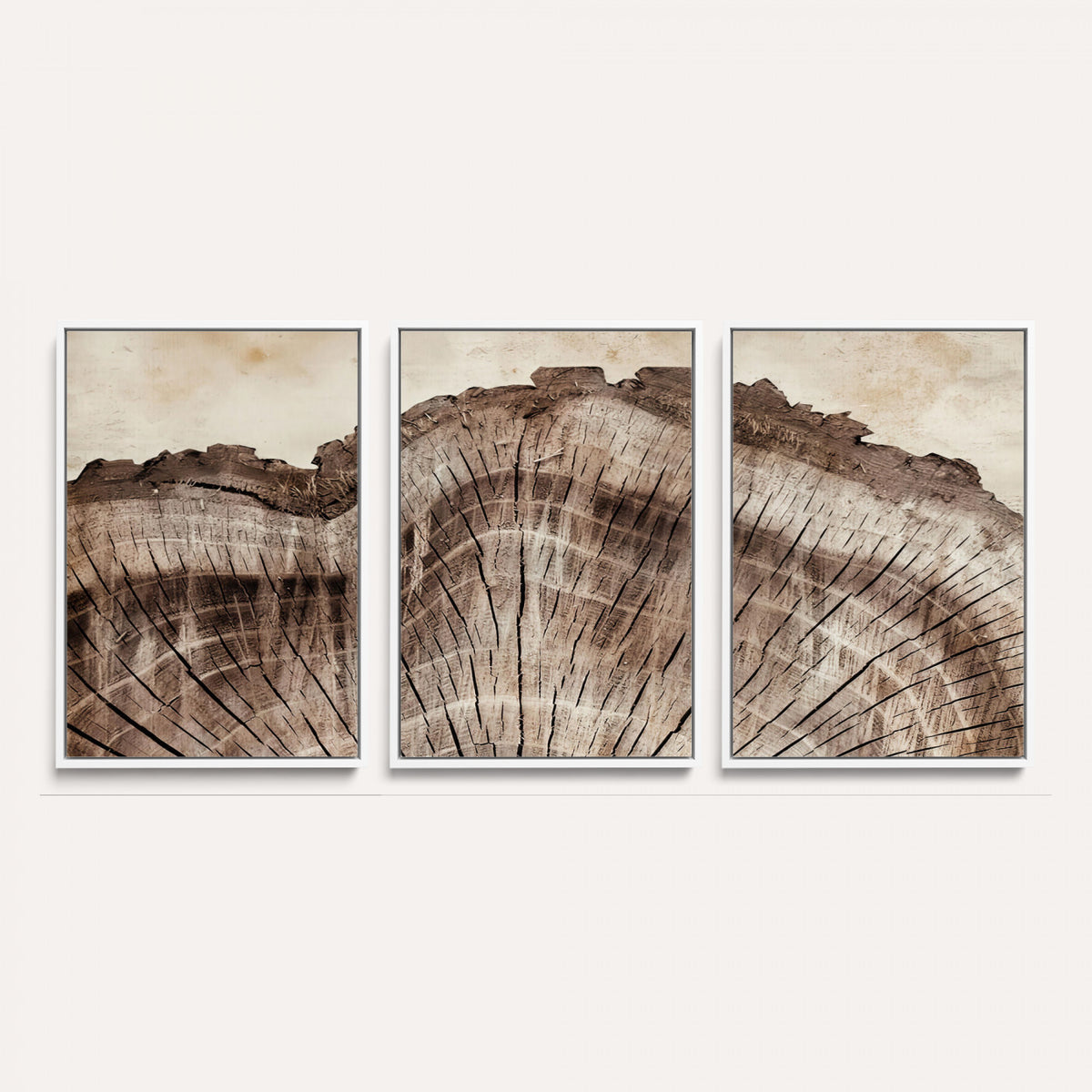 91280382-MGV-CV-60X30-3P - Tree Ring Canvas Wall Art in Neutral Earth Tones, Framed Wood Slice Print for Rustic and Japandi Interiors