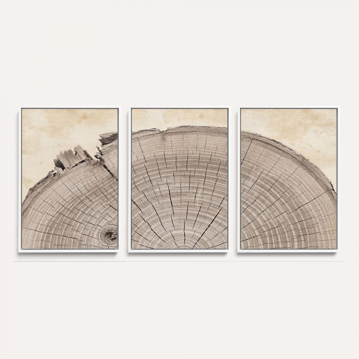 64174838-MGV-CV-60X30-3P - Tree Ring Canvas Wall Art in Neutral Earth Tones, Framed Wood Slice Print for Rustic and Japandi Interiors