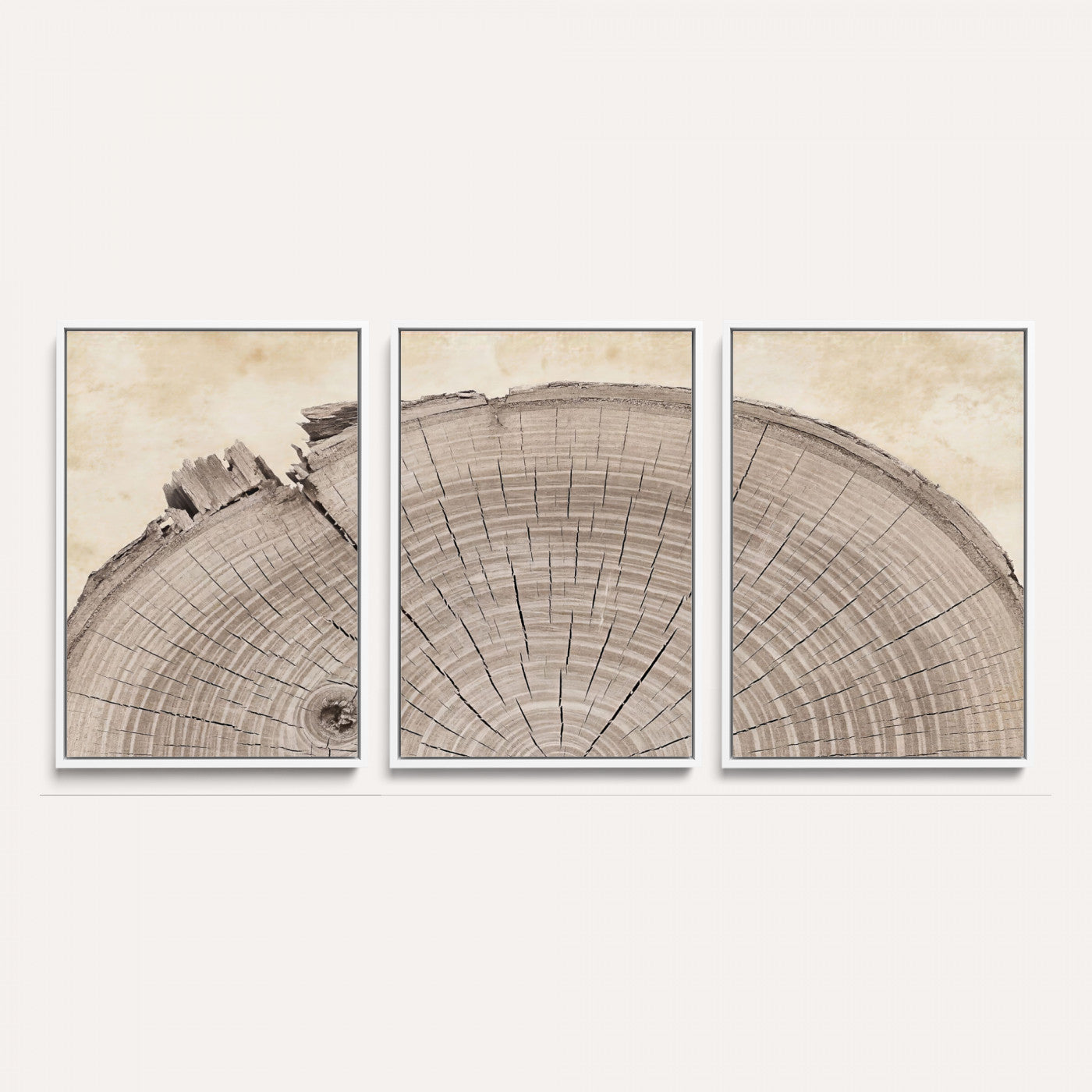 64174838-MGV-CV-60X30-3P - Tree Ring Canvas Wall Art in Neutral Earth Tones, Framed Wood Slice Print for Rustic and Japandi Interiors