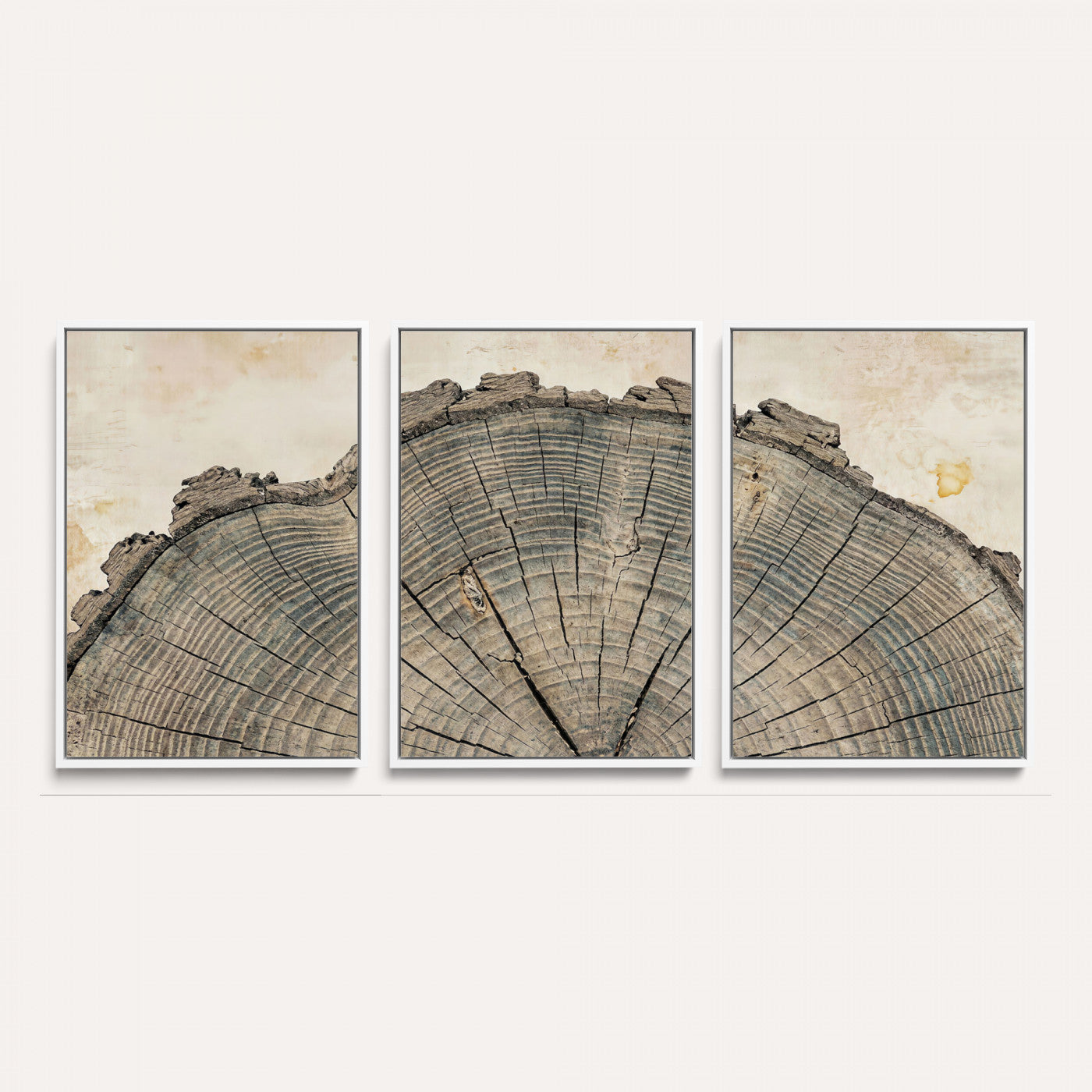 34201080-MGV-CV-60X30-3P - Tree Ring Canvas Wall Art in Neutral Earth Tones, Framed Wood Slice Print for Rustic and Japandi Interiors