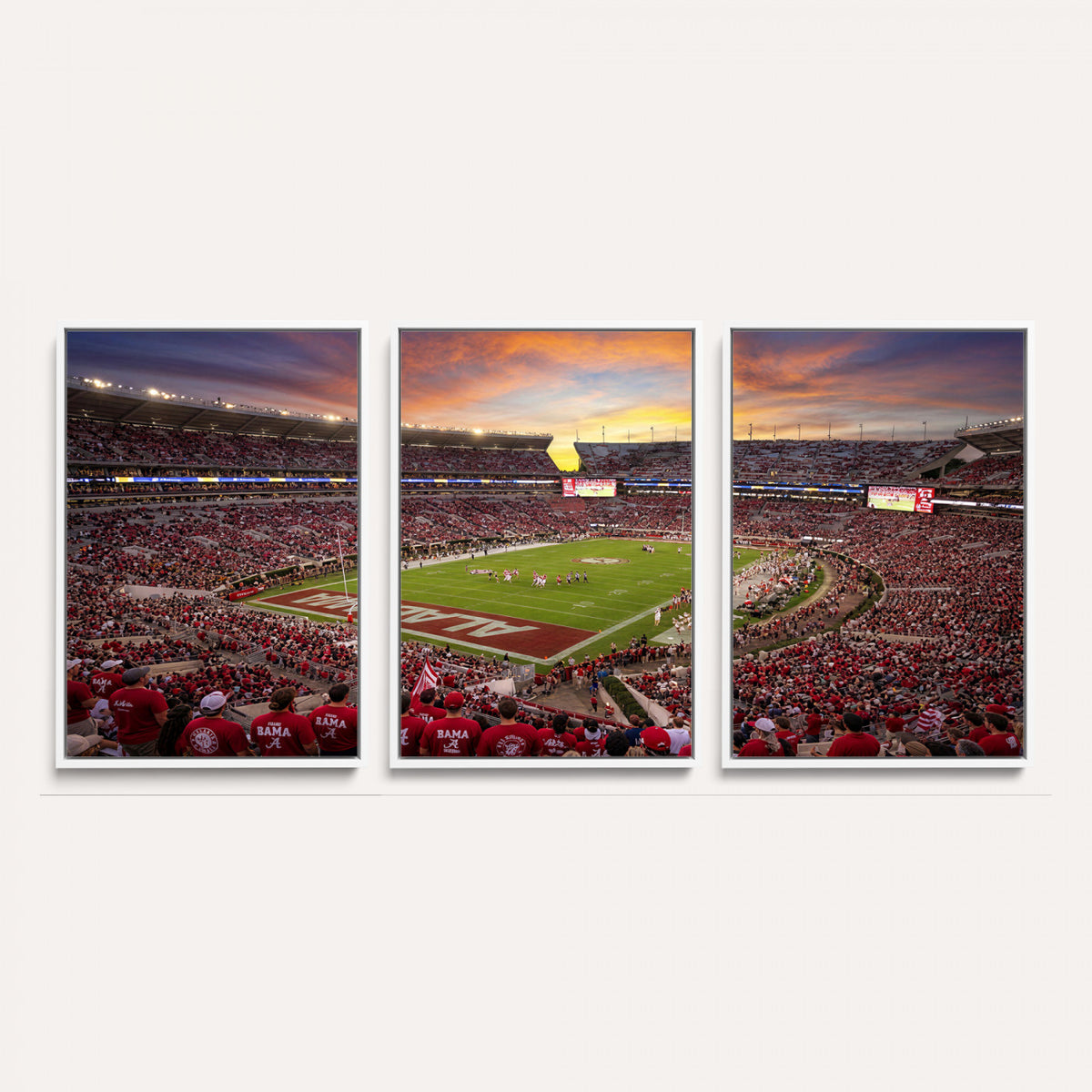 41995919-MGV-CV-36X24 - Stadium Wall Art Canvas Print