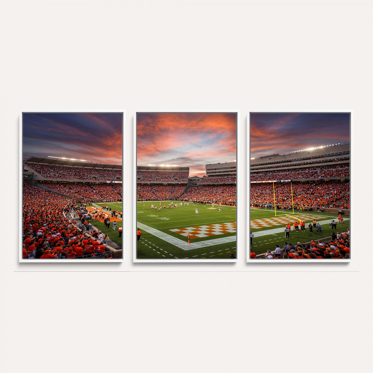 67648335-MGV-CV-36X24 - Stadium Wall Art Canvas Print