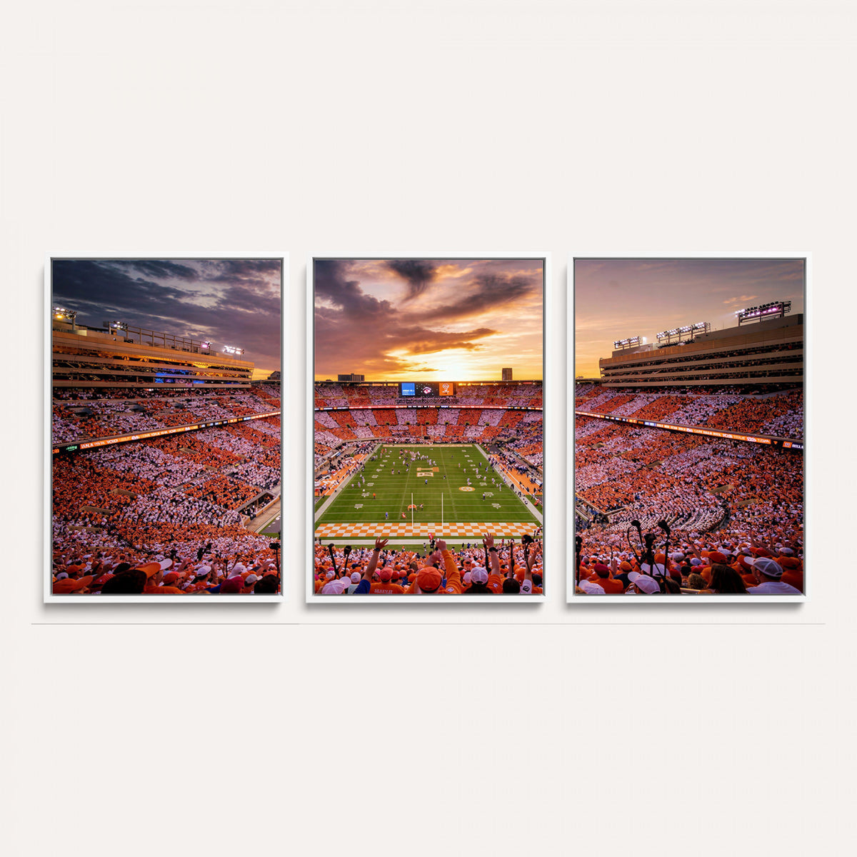 68184875-MGV-CV-36X24 - Stadium Wall Art Canvas Print
