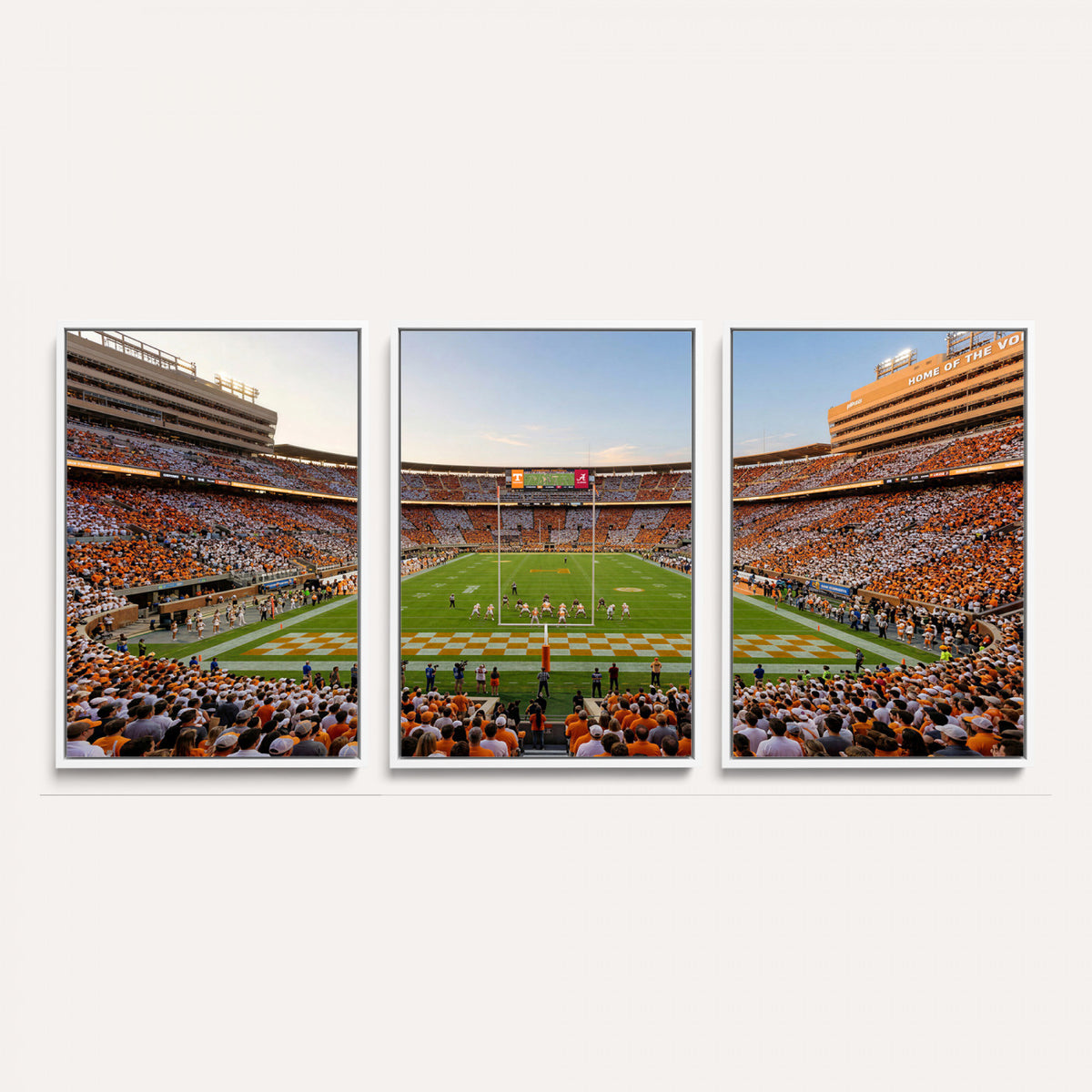 74509135-MGV-CV-36X24 - Stadium Wall Art Canvas Print