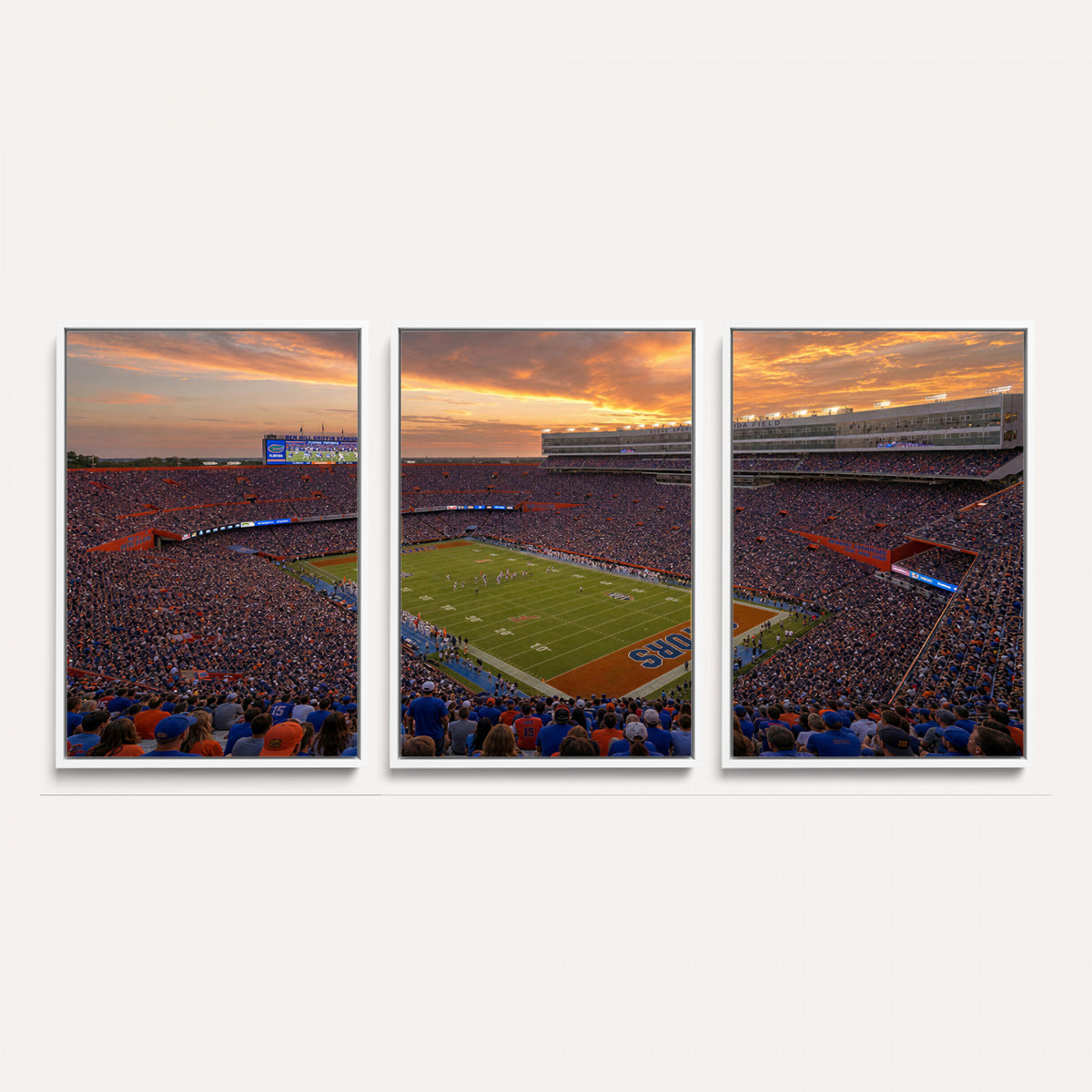 48009171-MGV-CV-36X24 - Stadium Wall Art Canvas Print