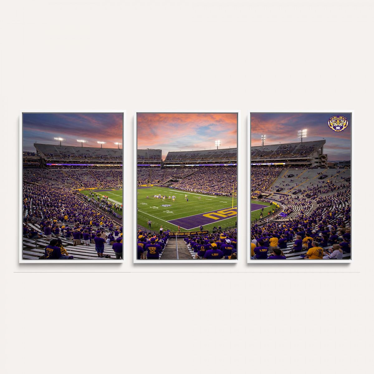 20281385-MGV-CV-36X24 - Stadium Wall Art Canvas Print