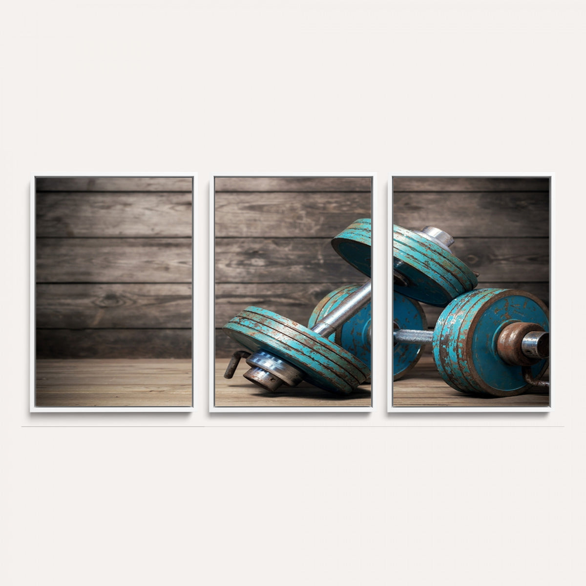 39364-MGV-CV-36X24 - Dumbbell and Sport Wall Art Canvas Print