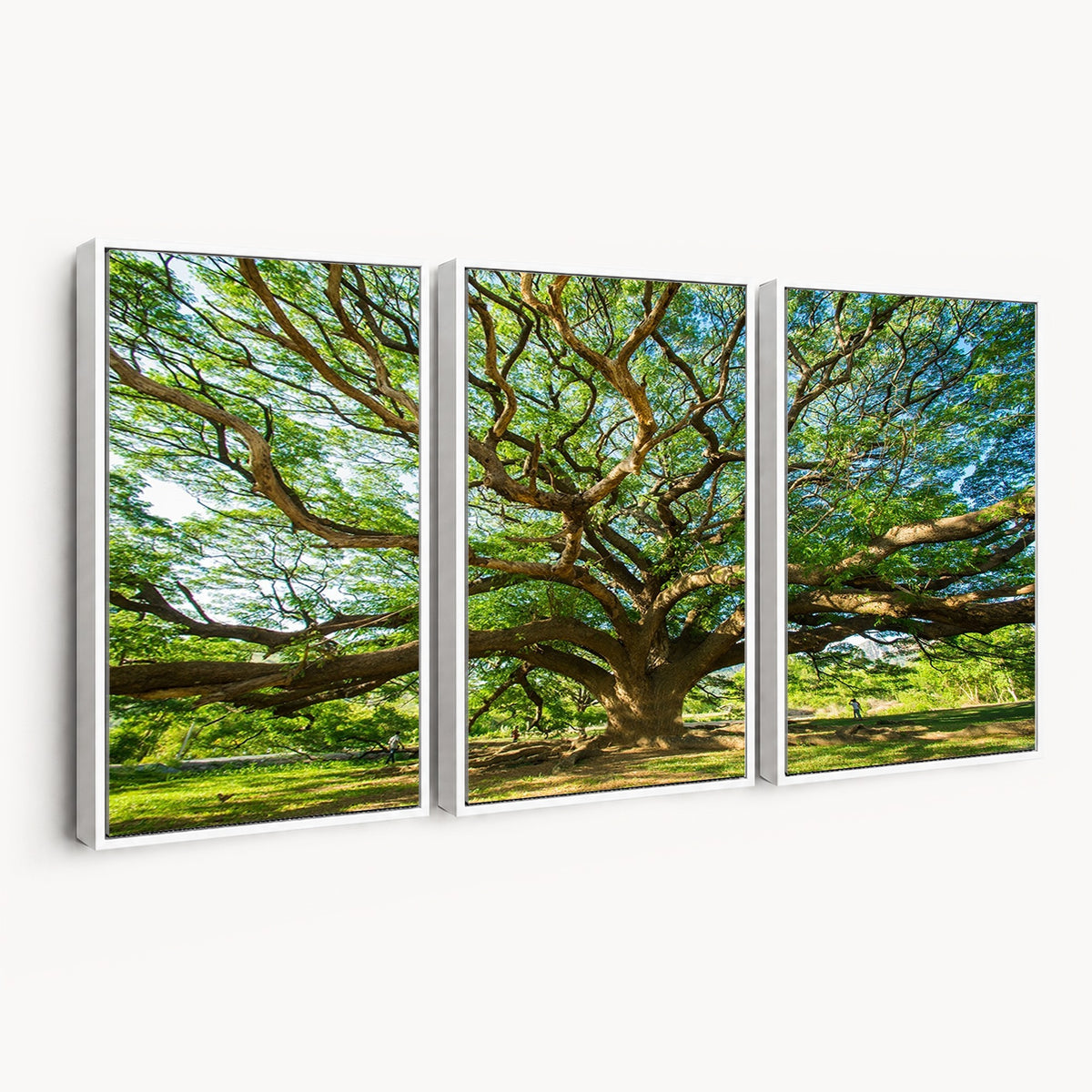 70569-MGV-CV-24X16 - Majestic Oak Tree Wall Art | Serene Nature Canvas Print with Spreading Branches
