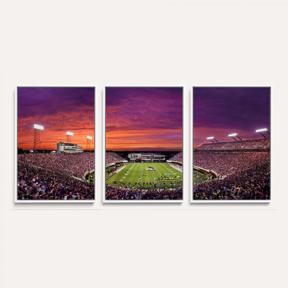 88575-MGV-CV-36X24 - East Carolina University Pirates Football Print Canvas- Greenville Dowdy-Ficklen Stadium Wall Art