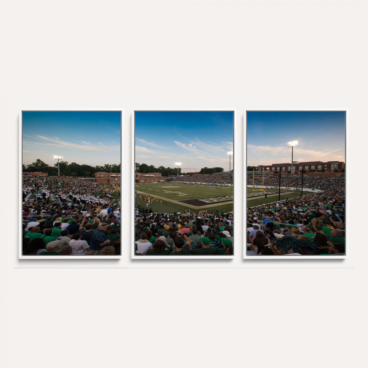 12290-MGV-CV-36X24 - University of Charlotte 49ers Football Team Print - Charlotte Jerry Richardson Stadium Wall Art