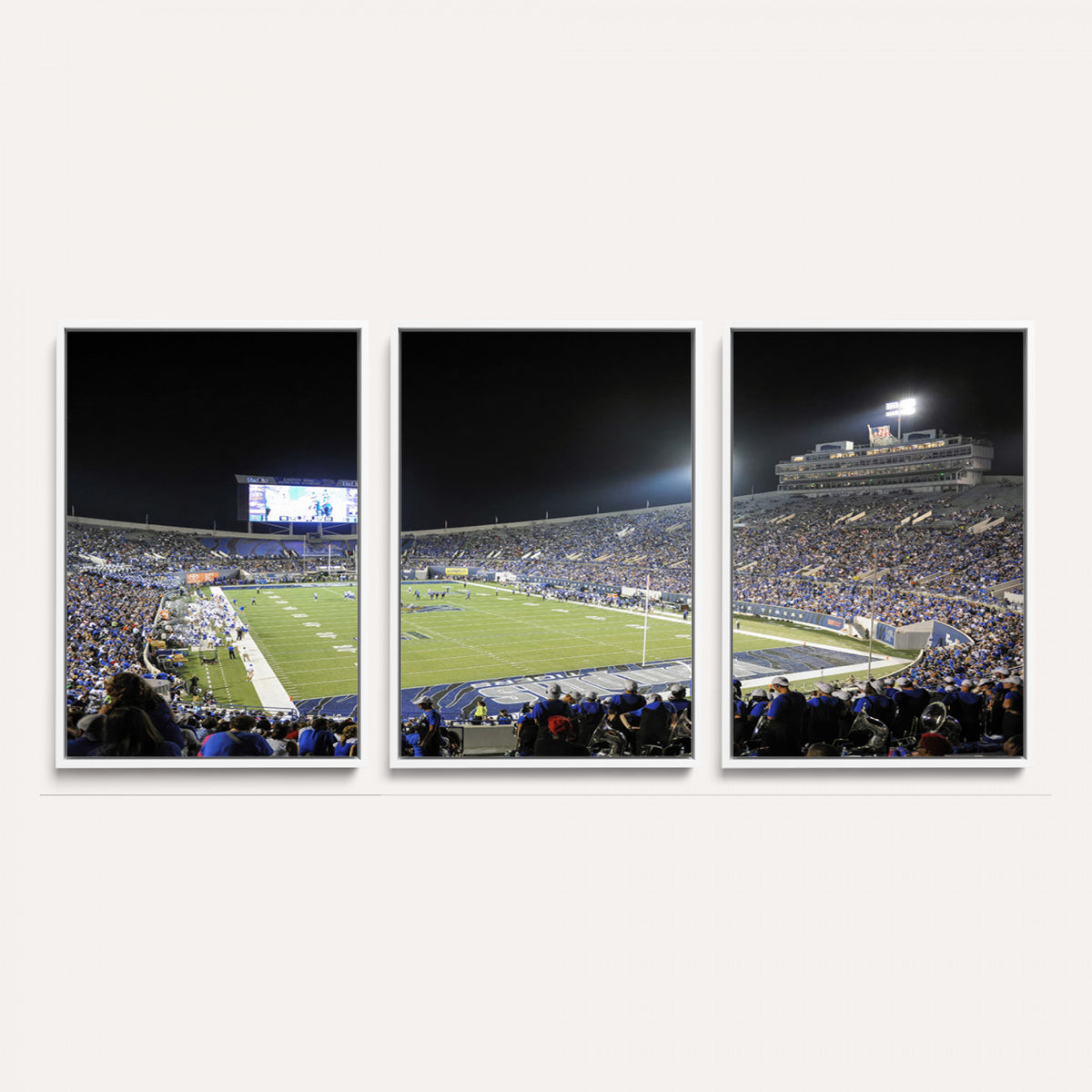 10894-PAN-FL-20X10 - University of Memphis Tigers Football Team Print - Memphis Simmons Bank Liberty Stadium Wall Art