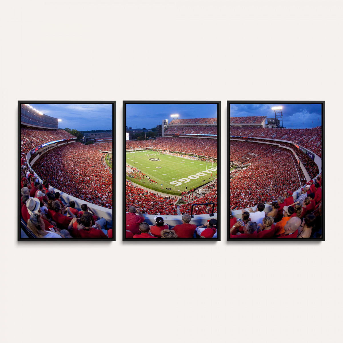 10244378-MGV-CV-36X24 - Dooley Stadium Wall Art, Sports Arena Canvas Print, Dooley Field, Home Bar Wall Decor