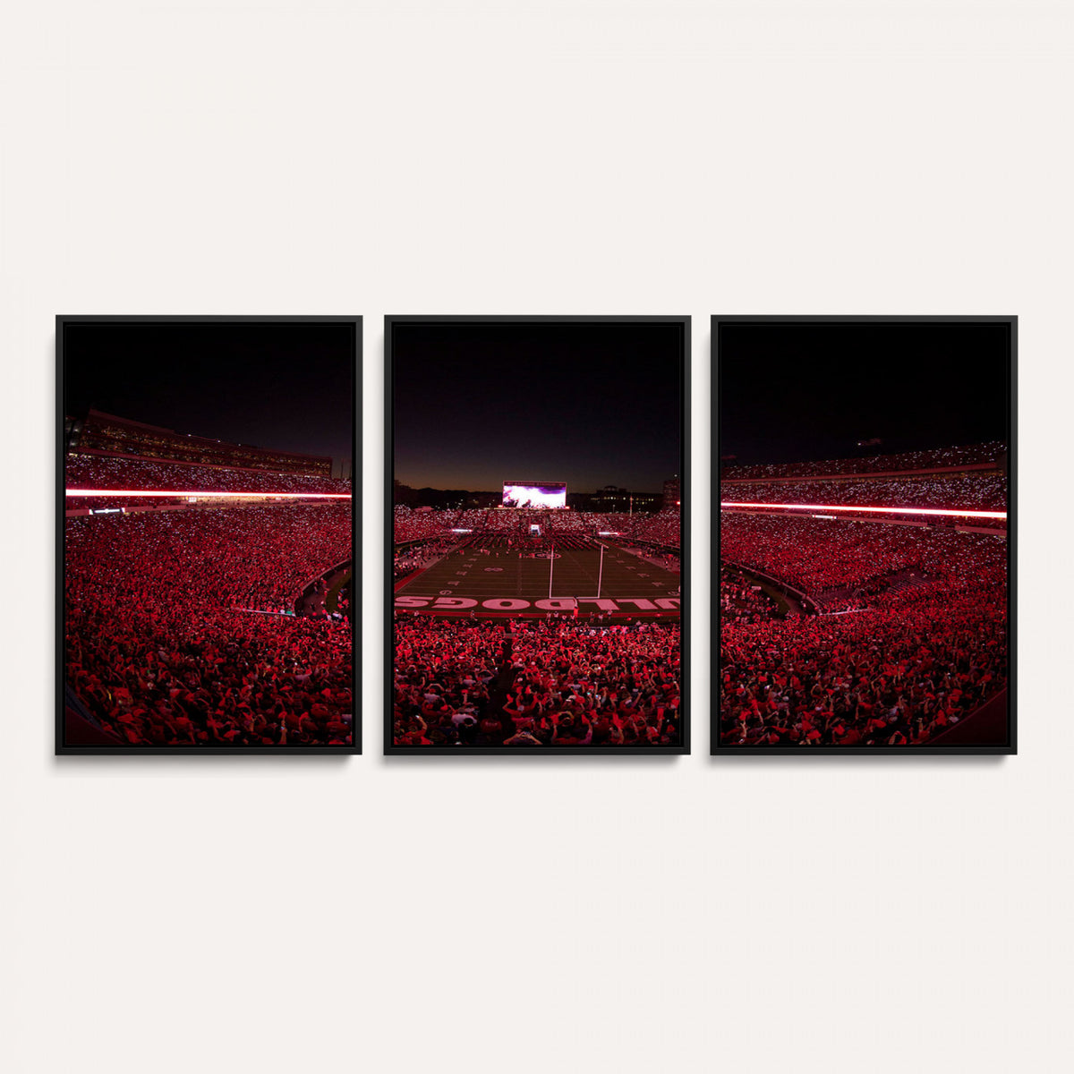 38331045-MGV-CV-36X24 - Dooley Stadium Wall Art, Sports Arena Canvas Print, Dooley Field Sanford Stadium