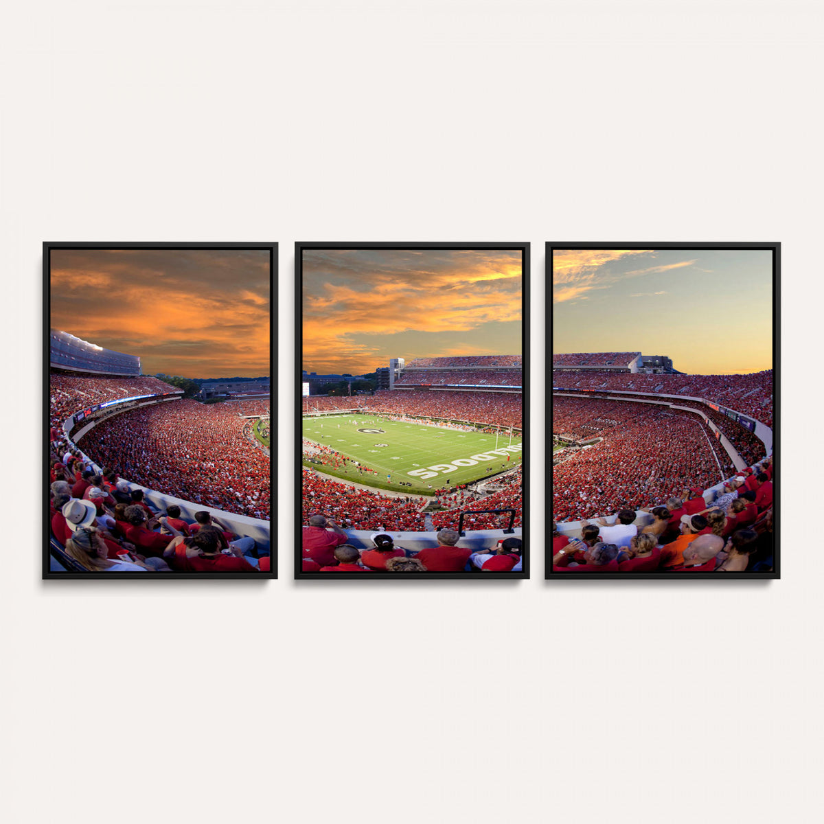 73680988-MGV-CV-36X24 - Dooley Stadium Wall Art, Sports Arena Canvas Print, Dooley Field, Framed and Ready to Hang