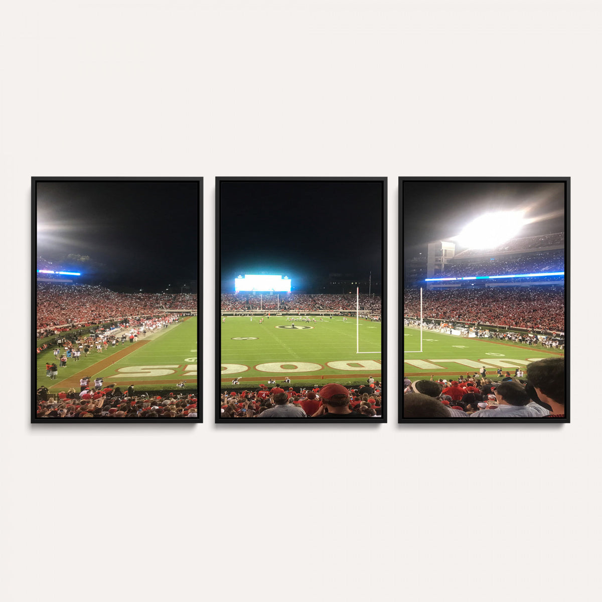 16230786-MGV-CV-36X24 - Dooley Stadium Wall Art, Sports Arena Panoramic Canvas Print, Modern Stadium Landscape Artwork for Home, Office