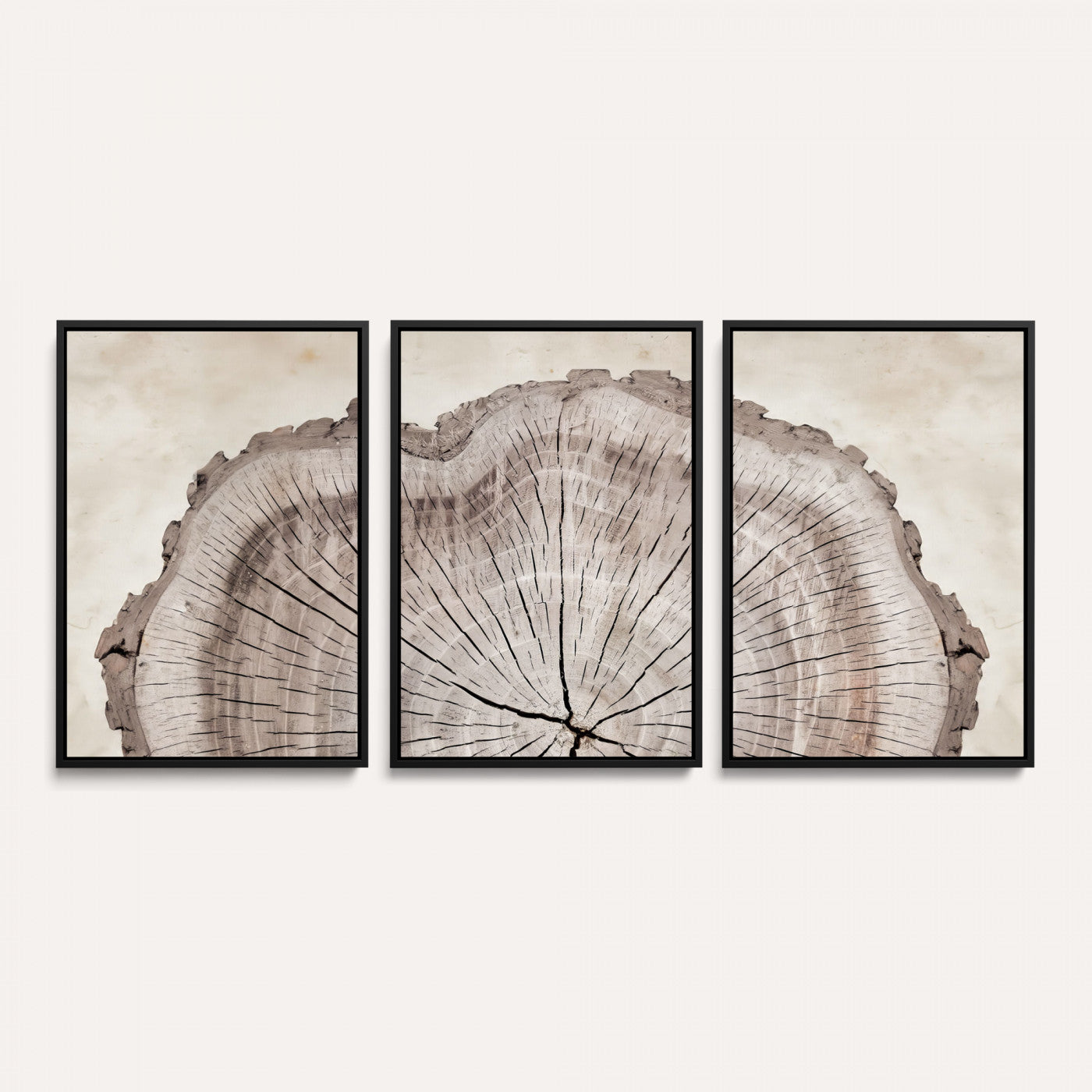 87833480-MGV-CV-60X30-3P - Tree Ring Canvas Wall Art in Neutral Earth Tones, Framed Wood Slice Print for Rustic and Japandi Interiors