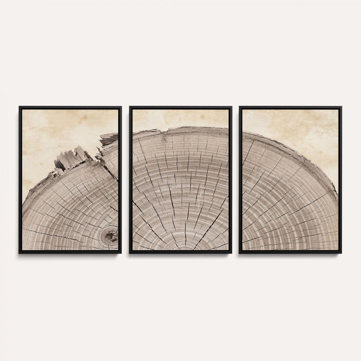 64174838-MGV-CV-60X30-3P - Tree Ring Canvas Wall Art in Neutral Earth Tones, Framed Wood Slice Print for Rustic and Japandi Interiors