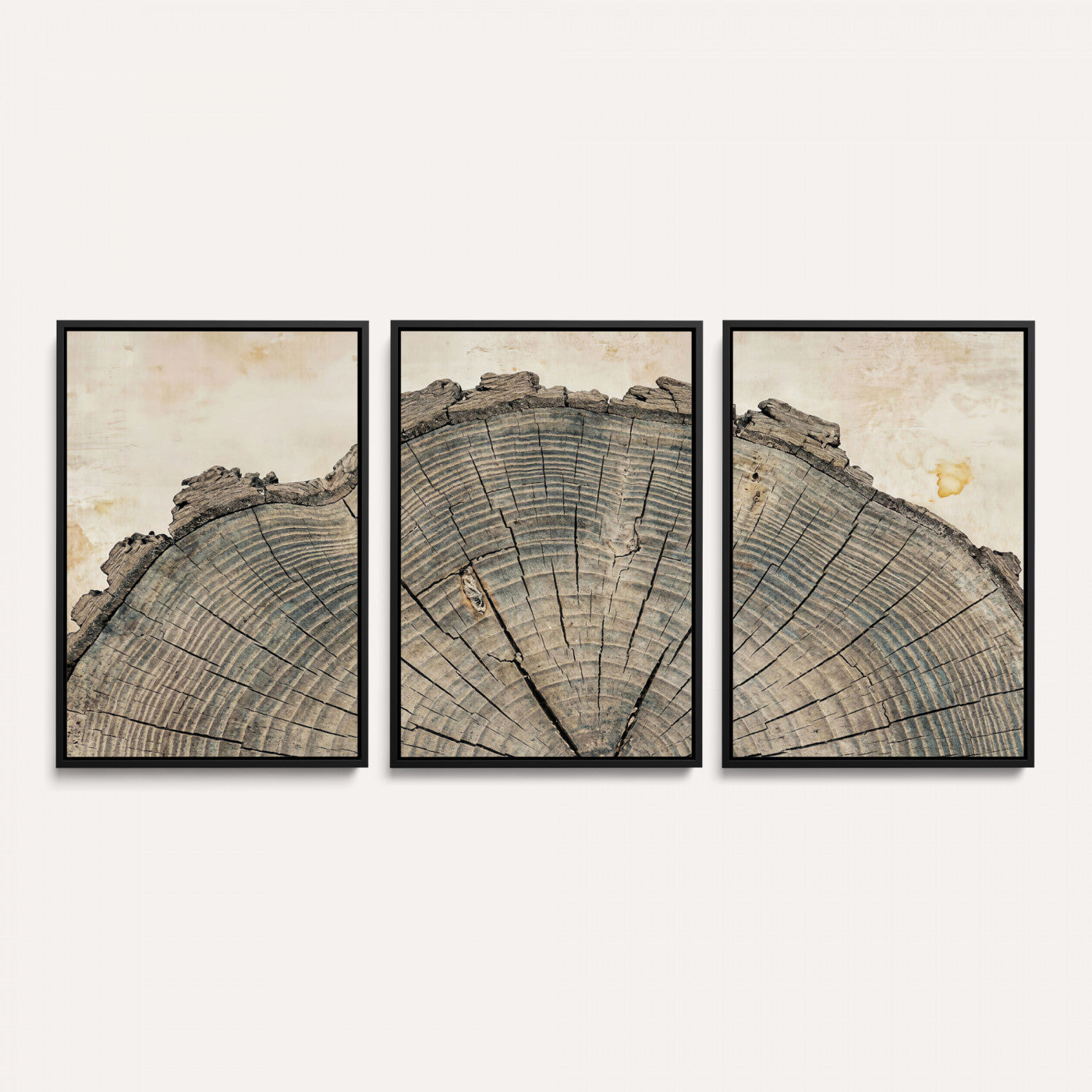 34201080-MGV-CV-60X30-3P - Tree Ring Canvas Wall Art in Neutral Earth Tones, Framed Wood Slice Print for Rustic and Japandi Interiors