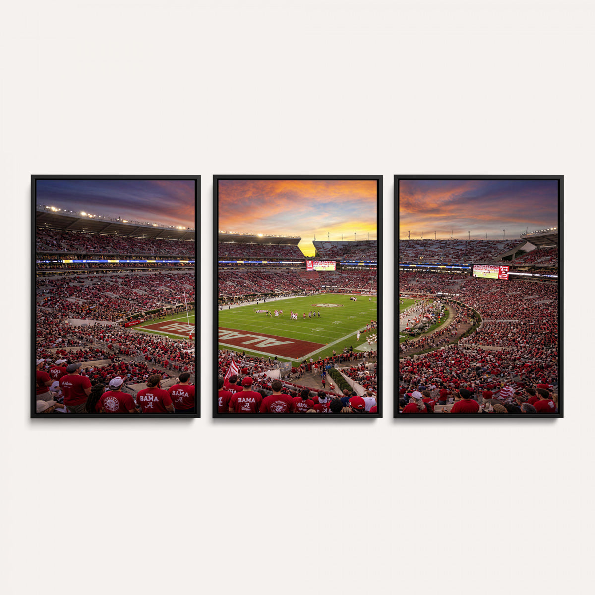 41995919-MGV-CV-36X24 - Stadium Wall Art Canvas Print