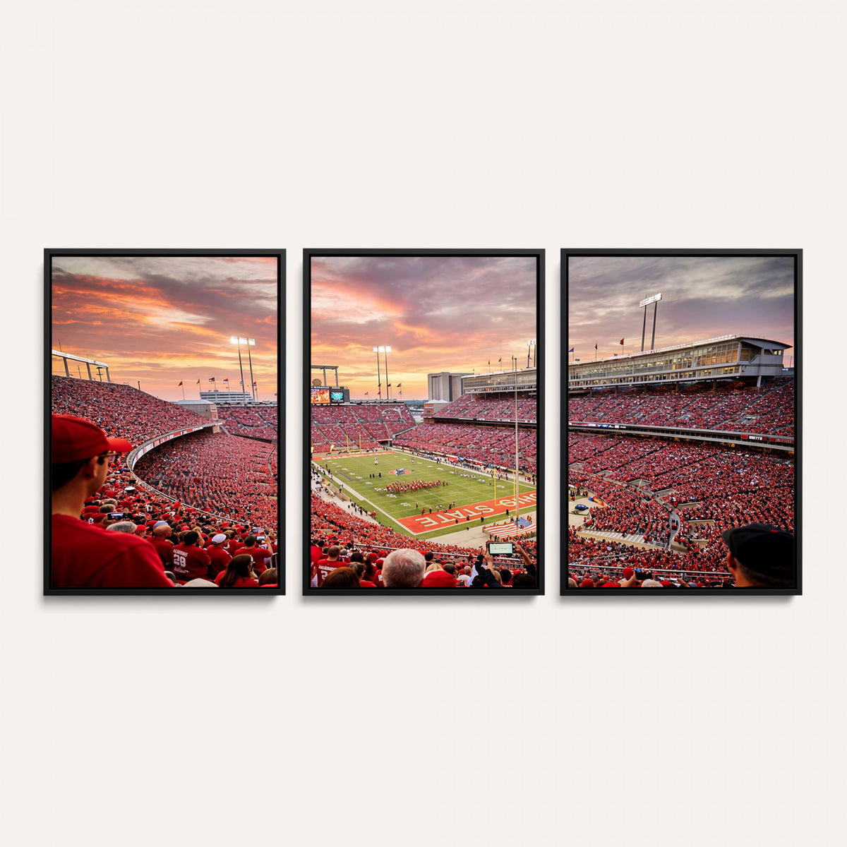 94754966-MGV-CV-36X24 - Stadium Wall Art Canvas Print