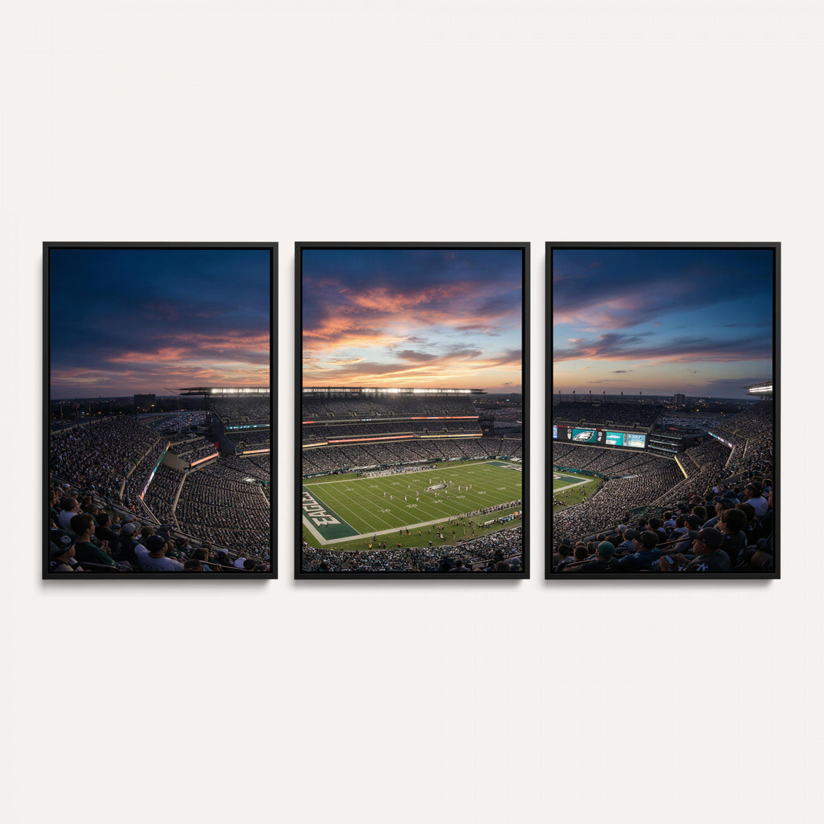 59208973-MGV-CV-36X24 - Stadium Wall Art Canvas Print