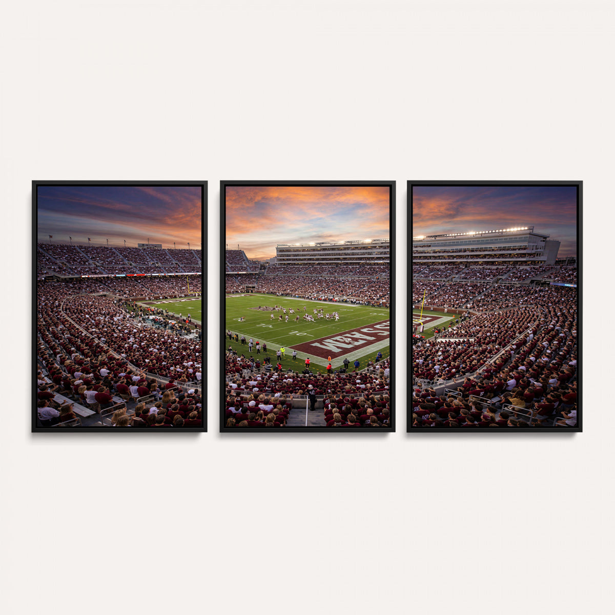 66624578-MGV-CV-36X24 - Stadium Wall Art Canvas Print