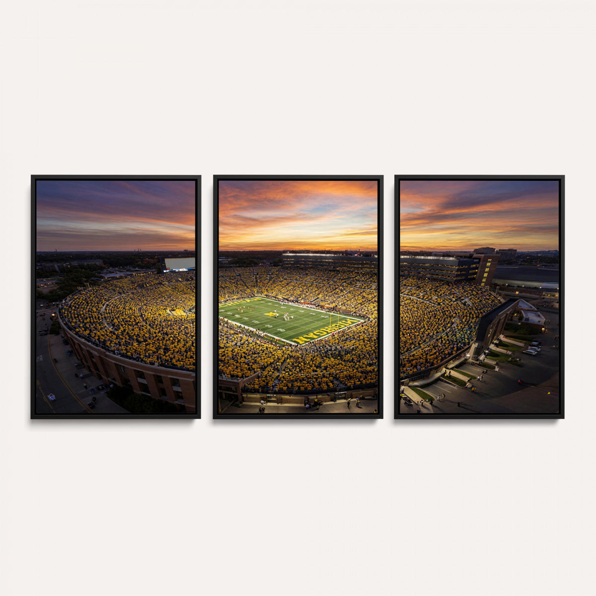 64902586-MGV-CV-36X24 - Stadium Wall Art Canvas Print