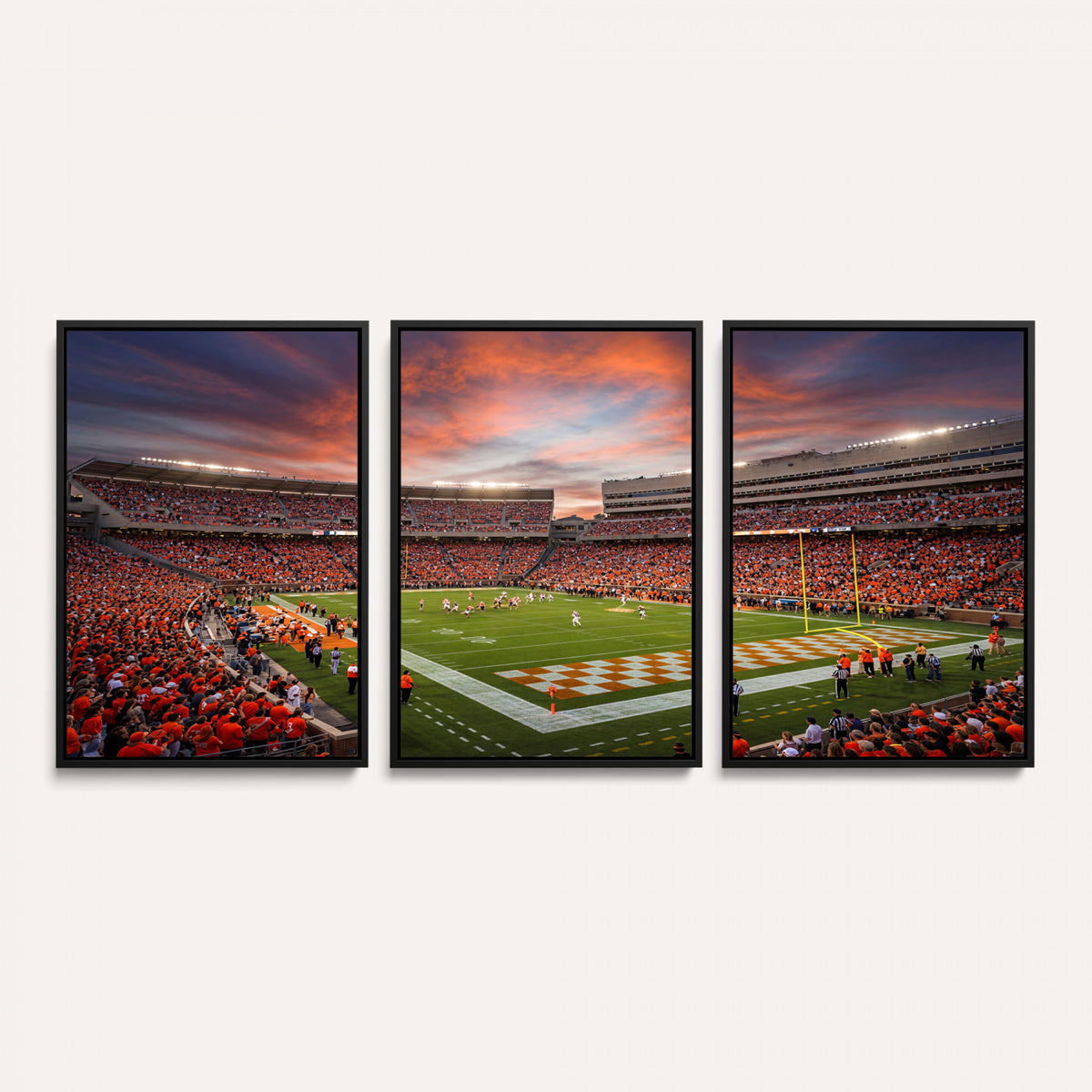 67648335-MGV-CV-36X24 - Stadium Wall Art Canvas Print