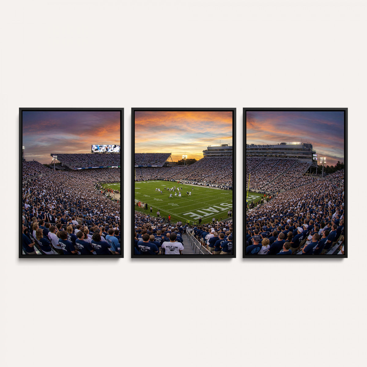 29008668-MGV-CV-36X24 - Stadium Wall Art Canvas Print