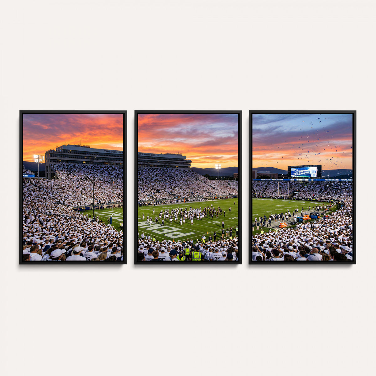 37057330-MGV-CV-36X24 - Stadium Wall Art Canvas Print