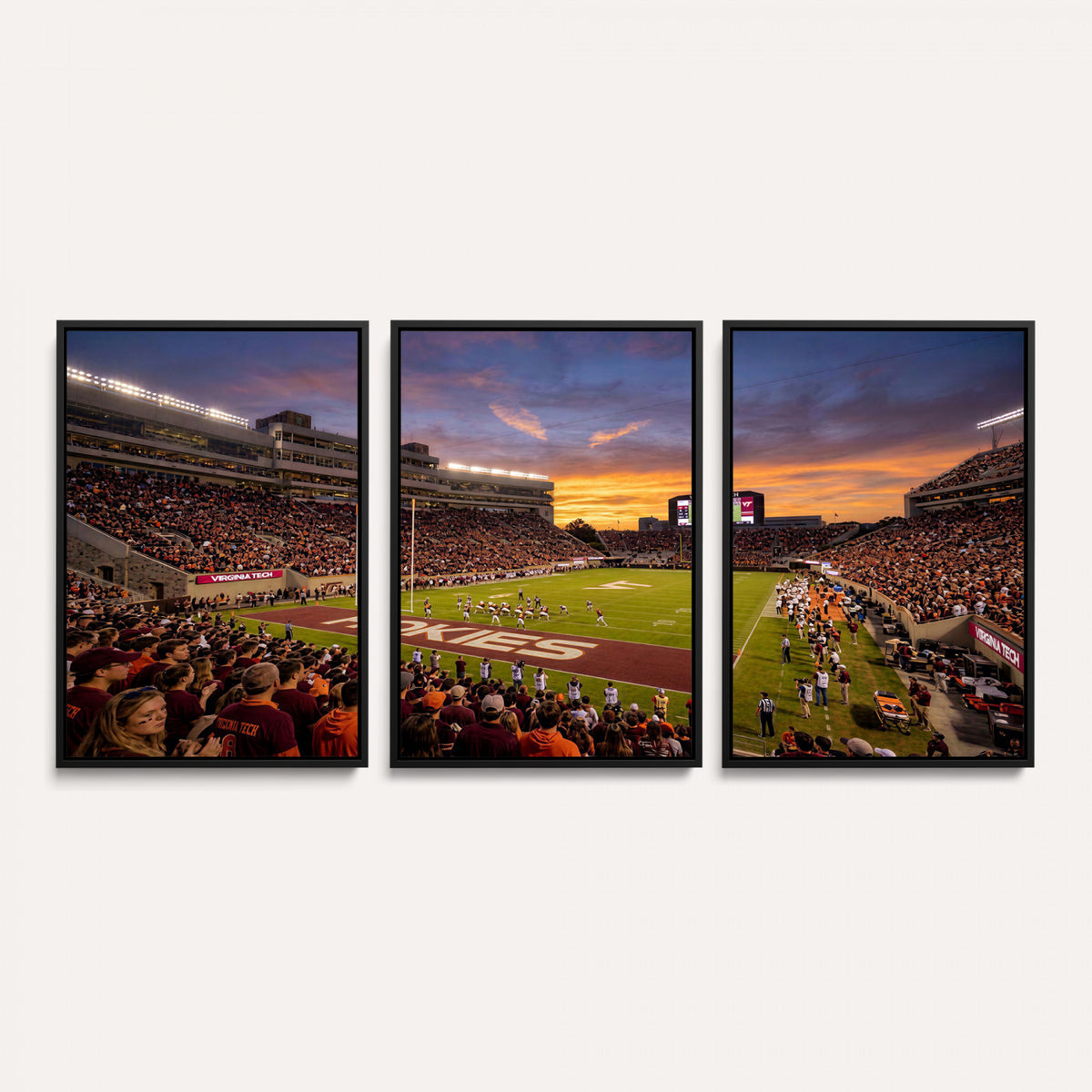 87141841-MGV-CV-36X24 - Stadium Wall Art Canvas Print