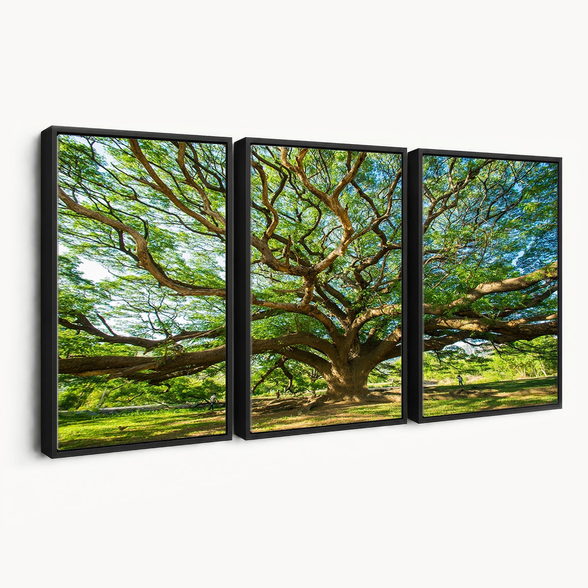 70569-MGV-CV-24X16 - Majestic Oak Tree Wall Art | Serene Nature Canvas Print with Spreading Branches