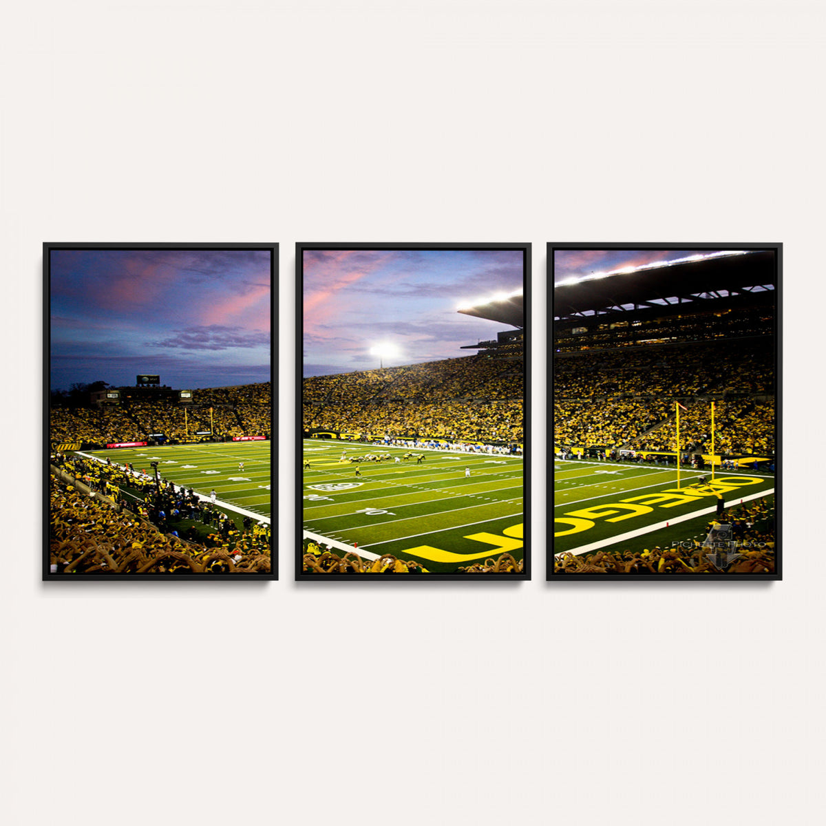 72017-MGV-CV-36X24 - University of Oregon Ducks Football Team Print, Eugene, Framed and Ready to Hang