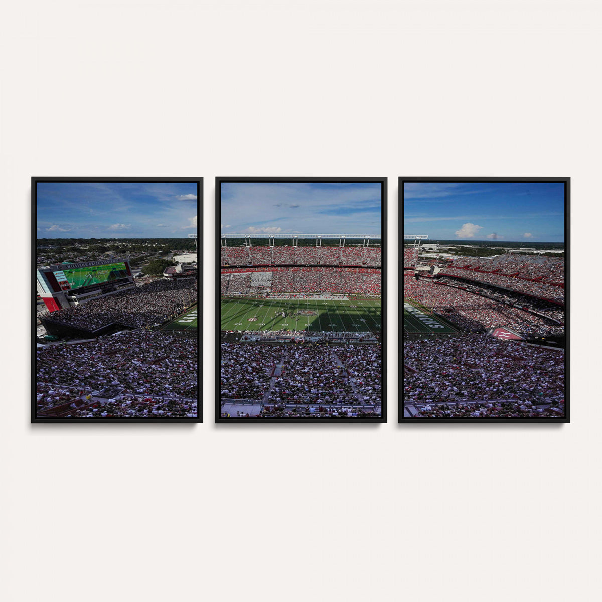 83382-MGV-CV-36X24 - South Carolina Gamecocks Football Team Print, Columbia Williams-Brice Stadium Wall Art