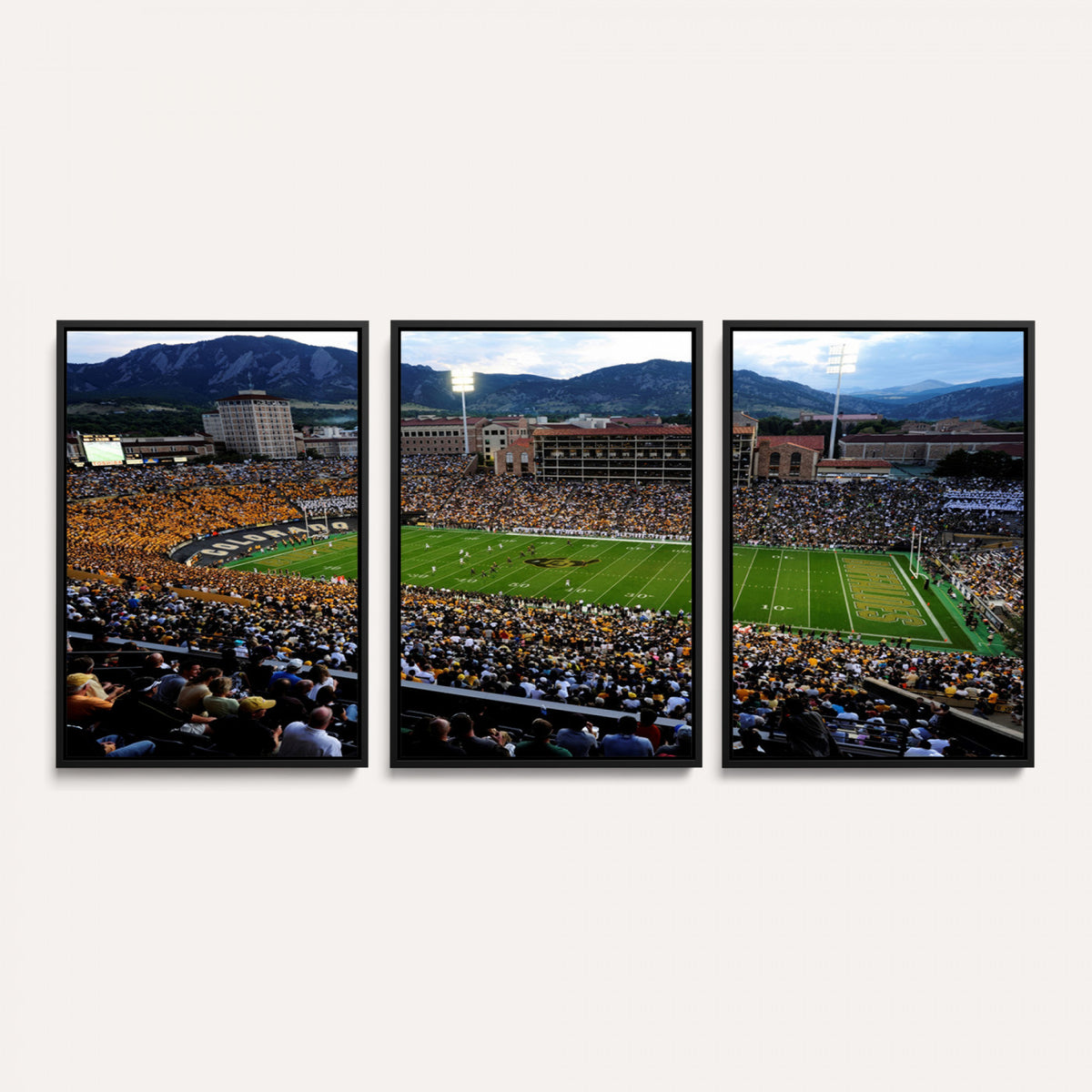 60552-MGV-CV-36X24 - Folsom Field, University of Colorado Buffaloes Football