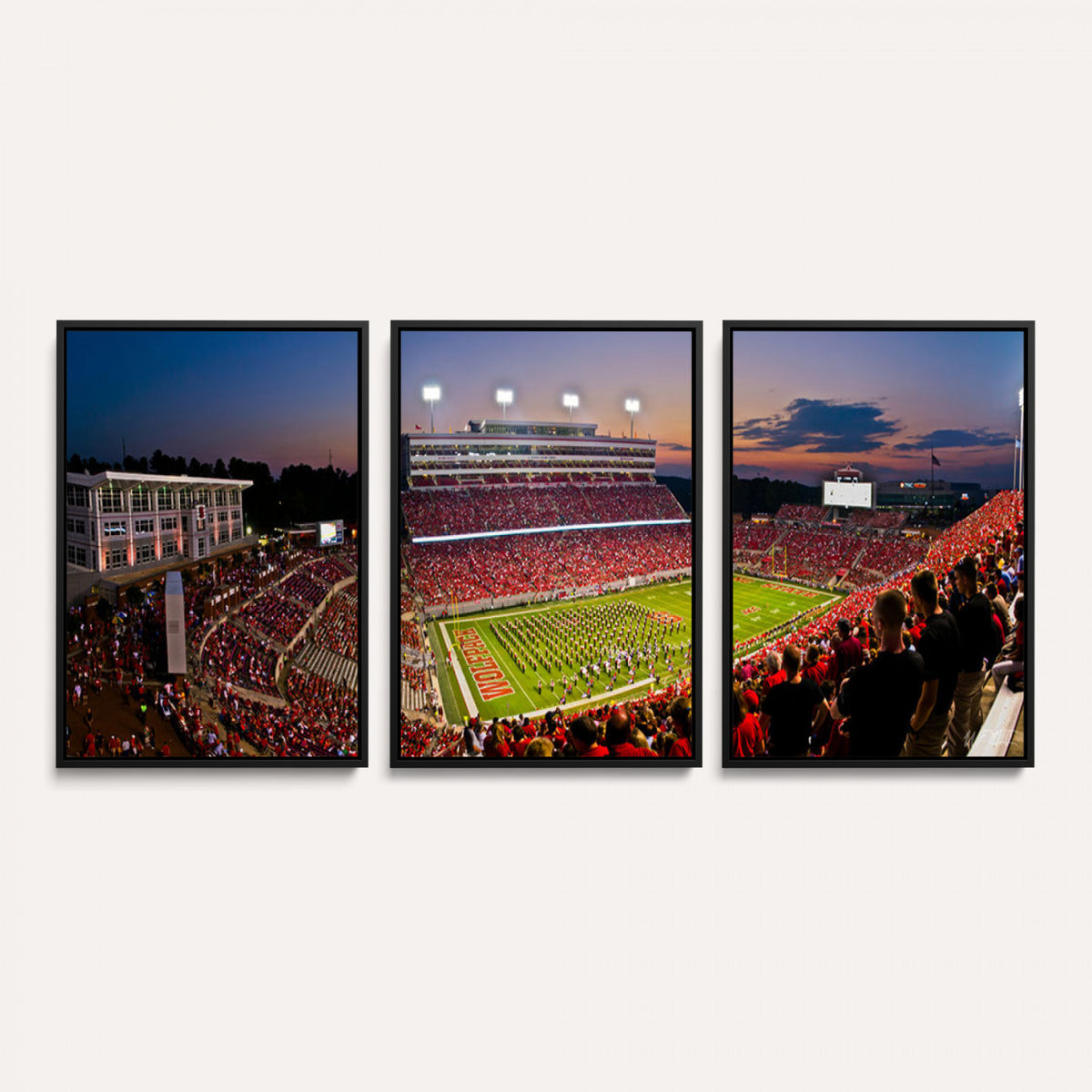 87655-MGV-CV-36X24 - NC State Wolfpack Football Team Print - Raleigh Carter-Finley Stadium Wall Art Canvas Print